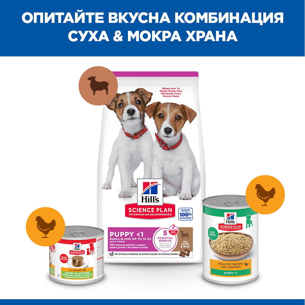 Hills Science Plan Small and Mini Puppy - суха храна за кученца от малки породи с агнешко месо 1.5 кг