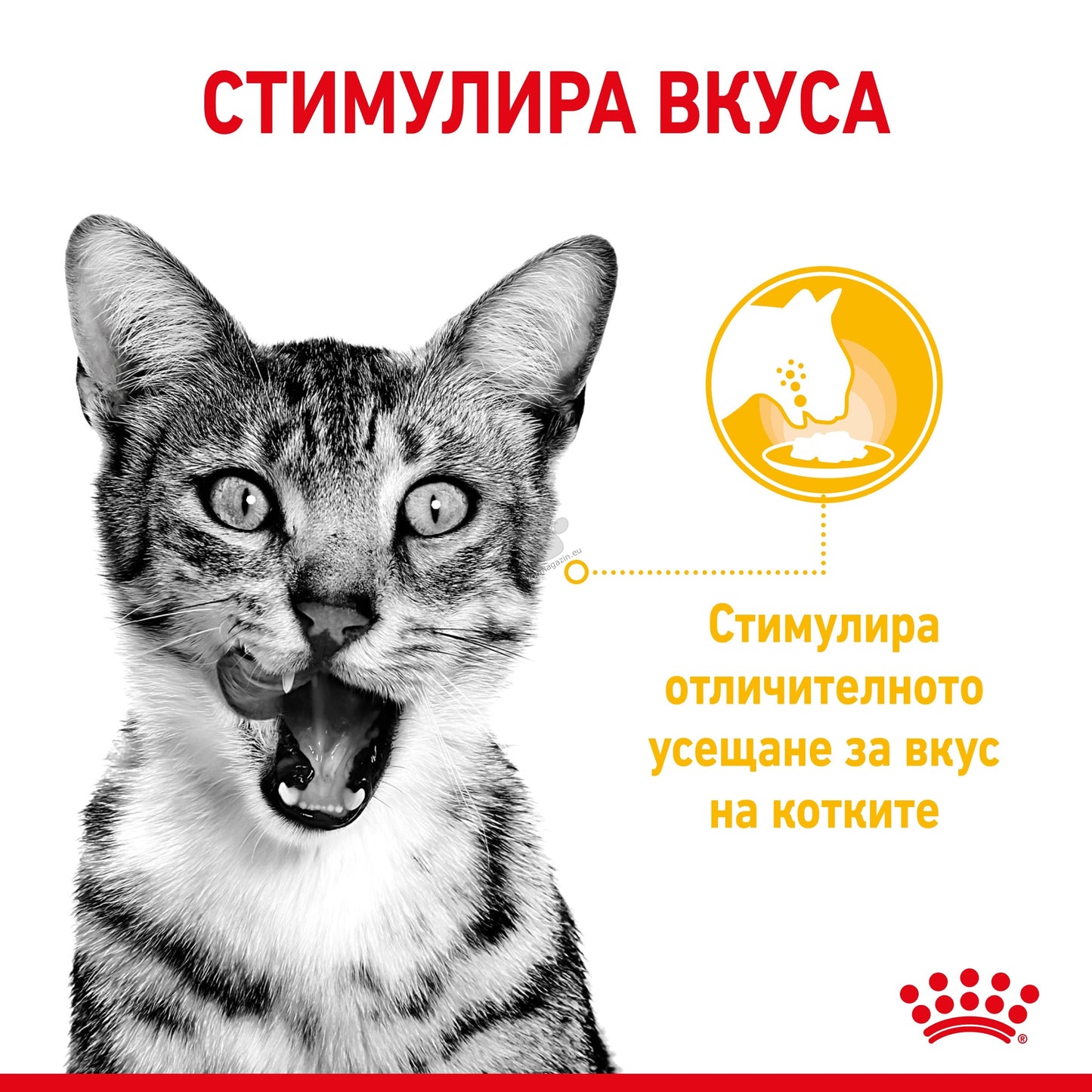 РАЗПРОДАЖБА Royal Canin Sensory Taste in Jelly - пълноценна храна хапки в желе в пауч за котки в зряла възраст над 1 година 85 гр.