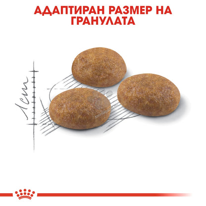 d2fe6d6d6b18bf37a6f4251b26049852.jpeg