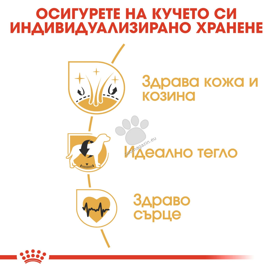 d75d7cd143c988e814263453619e1cd0.jpeg