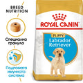 Royal Canin Labrador Retriever Puppy - за кучета порода лабрадор на възраст от 1 до 15 месеца