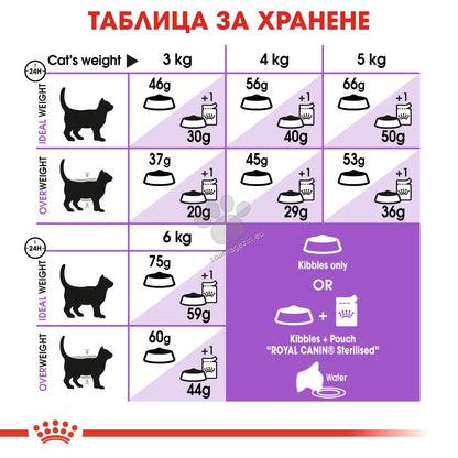d98d4cda39441c6958b8b8b782df5389.jpeg