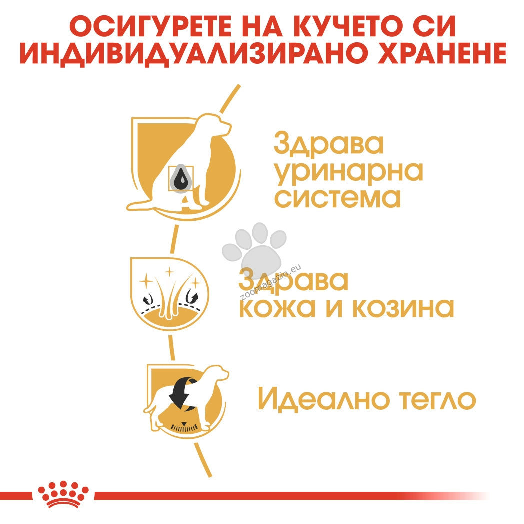 dca60a22de2d90e266a87f9067482c0c.jpeg