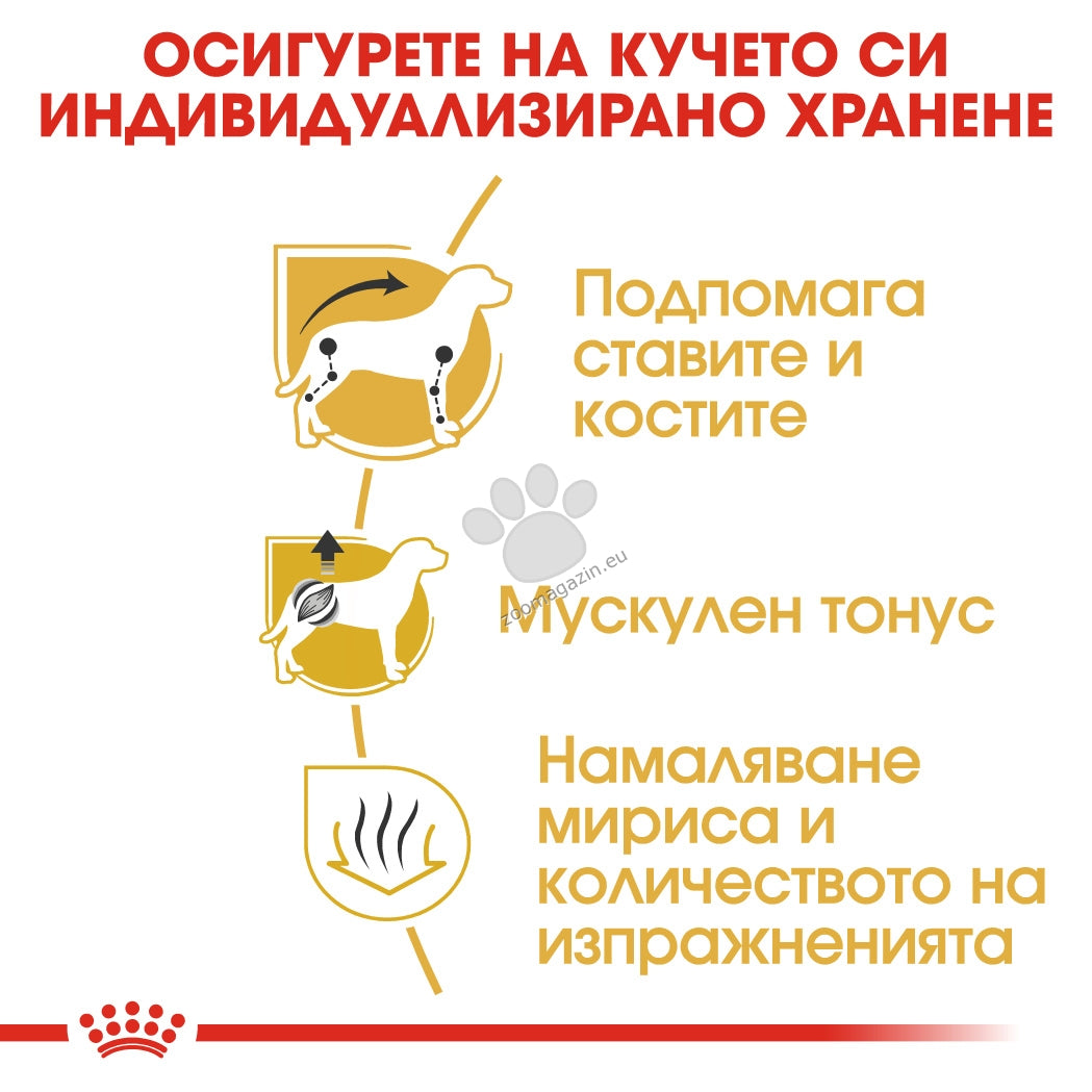 dd556ce21e758eb5b2e510efcd0e6ad0.jpeg