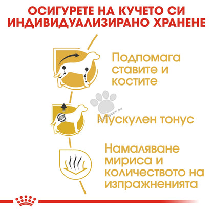 dd556ce21e758eb5b2e510efcd0e6ad0.jpeg