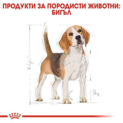 e2eddf343cf25a7fddeca7c8420f4ccf.jpeg