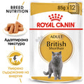 Royal Canin British Shorthair - пауч за котки порода британска късокосместа котка 85 гр.