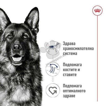 Royal Canin Maxi Adult - пълноценна храна за кучета от едри породи 15+3 кг