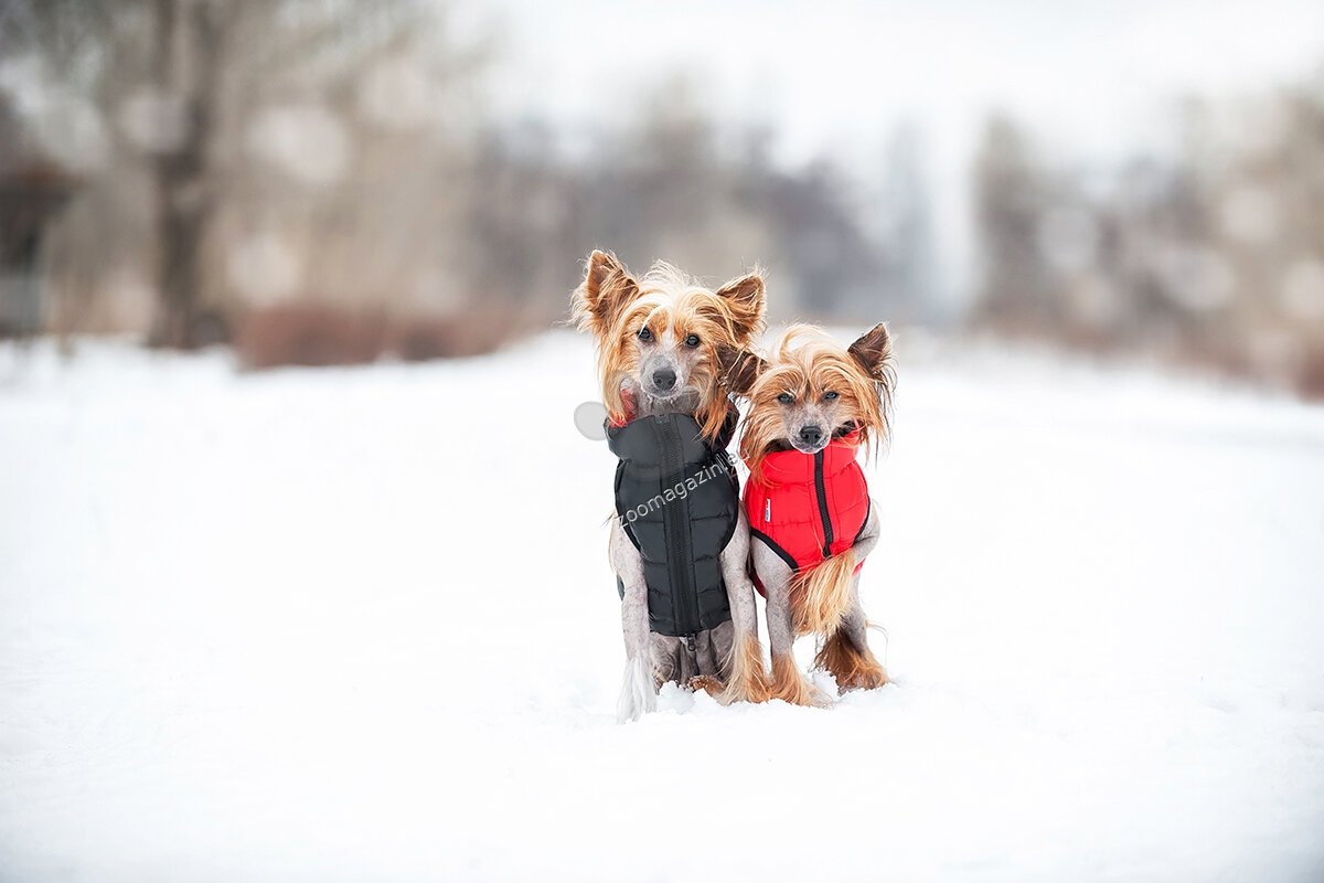 Reversible dog jacket AiryVest, red-black, size M45 - двустранно олекотено кучешко яке, за кучета с дължина на гърба 42 - 45 см.