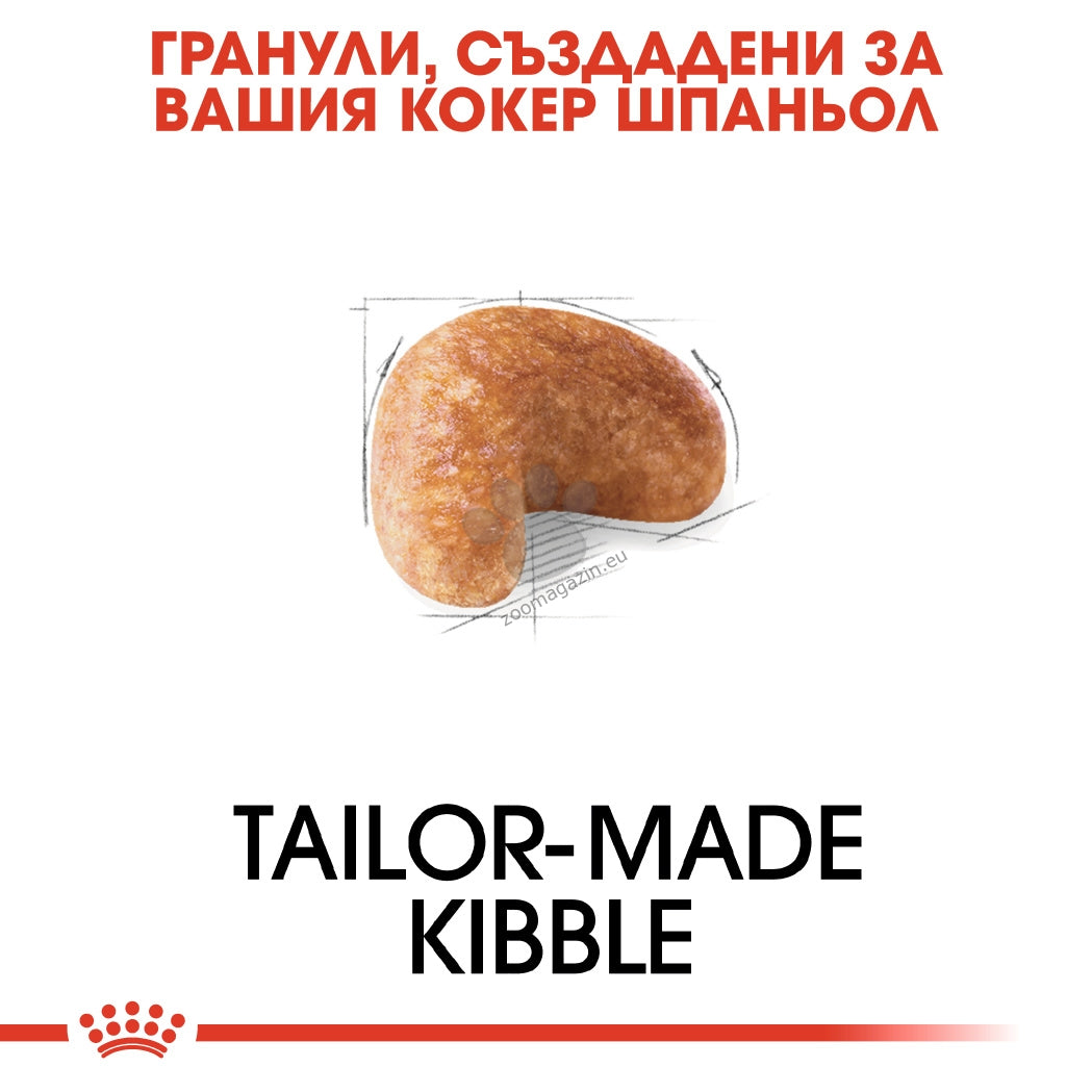 e90bfc72ada7f1e8a799d57c2f336357.jpeg