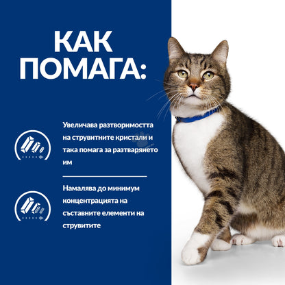eb3ab67ec784501cdc78174b8742f664.jpeg