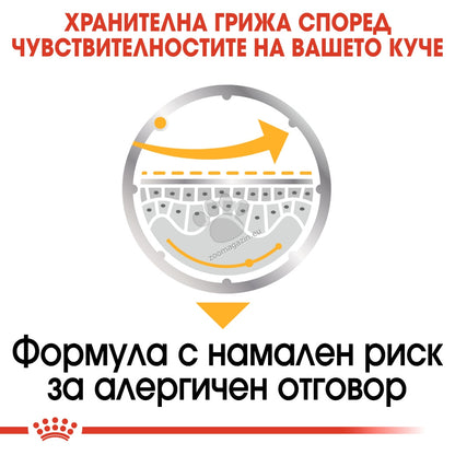 eb8b7466647693c5fc278cf28631cdb9.jpeg