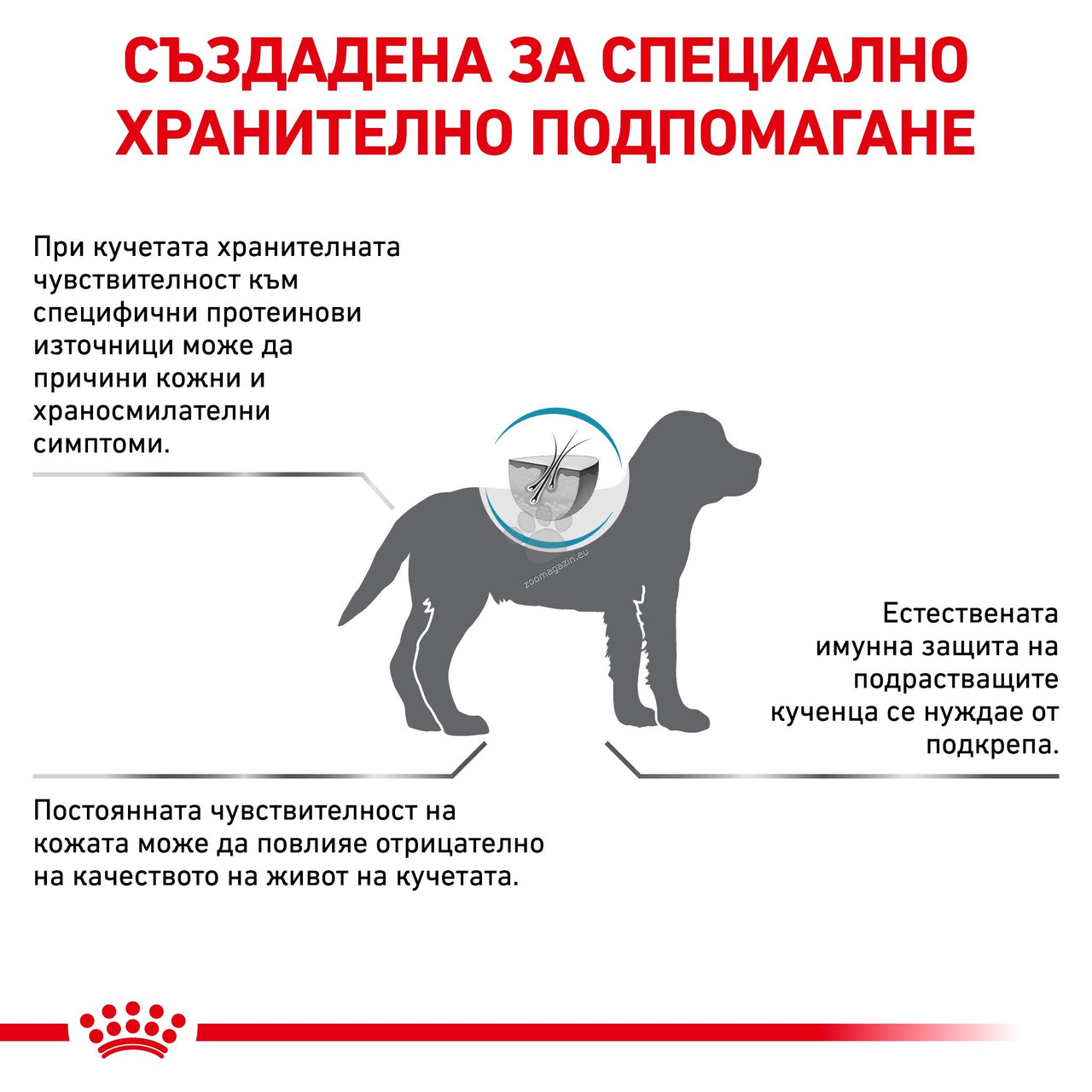ebf0a691eb7365da92ba601801af2451.jpeg