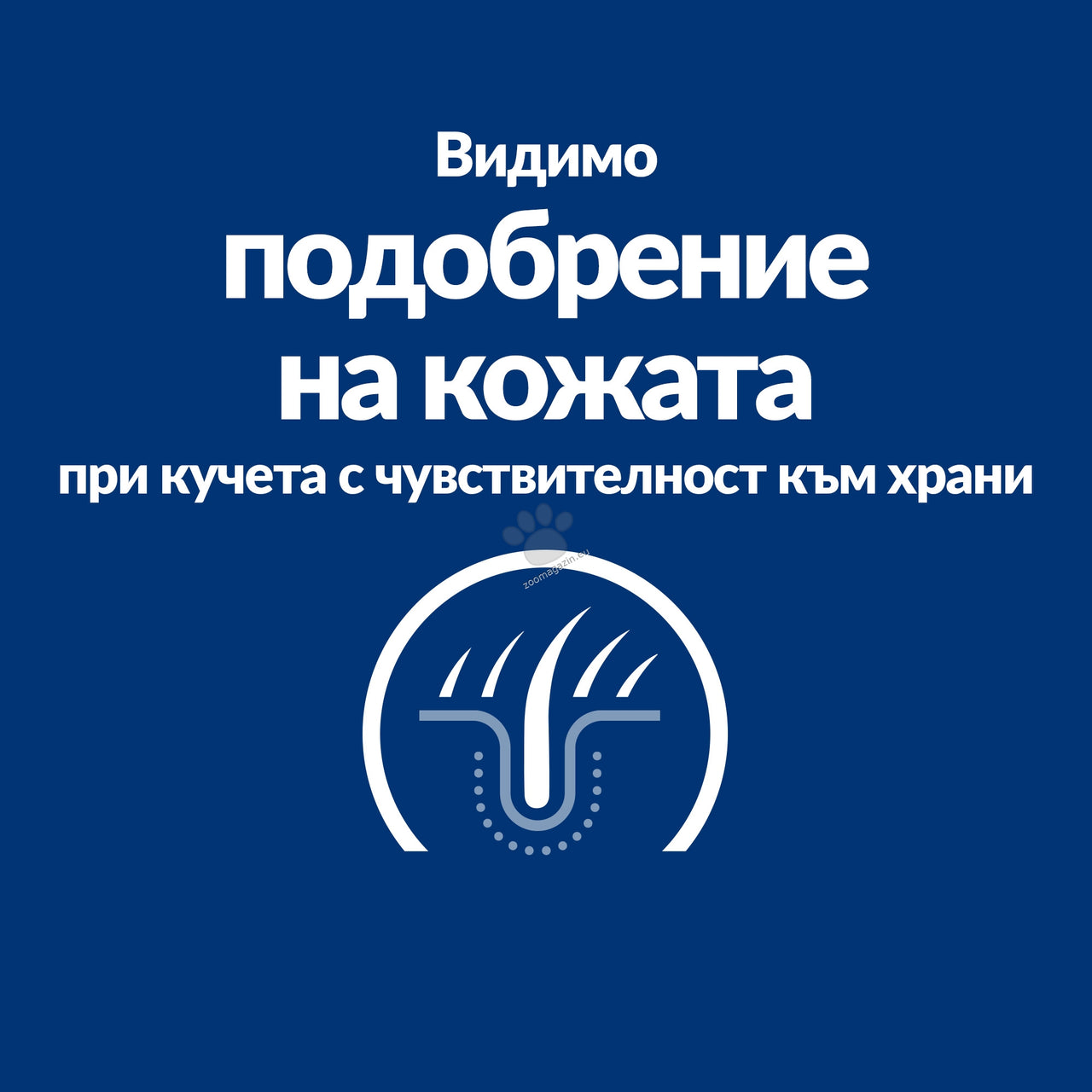 ece7f92ce181ba71f01d642a549b7748.jpeg