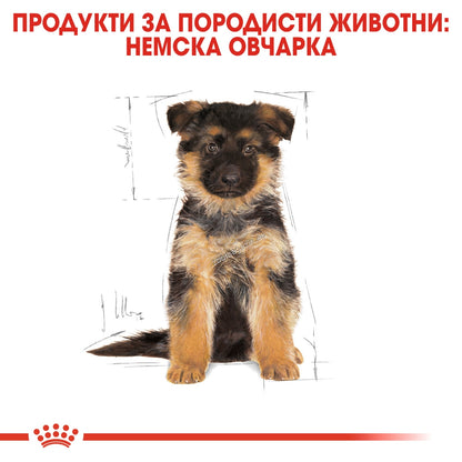 eda105f3dfdc7317094a48a99fdedd14.jpeg