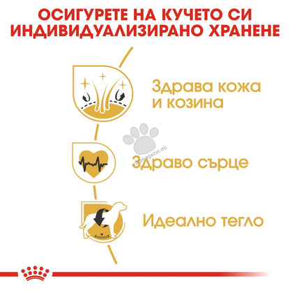 f2cce8915a9ff50788e0e2b59e282050.jpeg