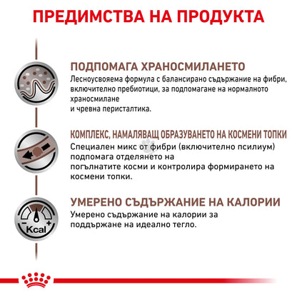 f3684da906773c61cf0de7714e083725.jpeg