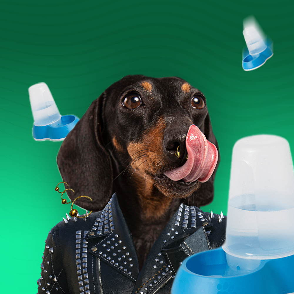 Диспенсъри за кучета