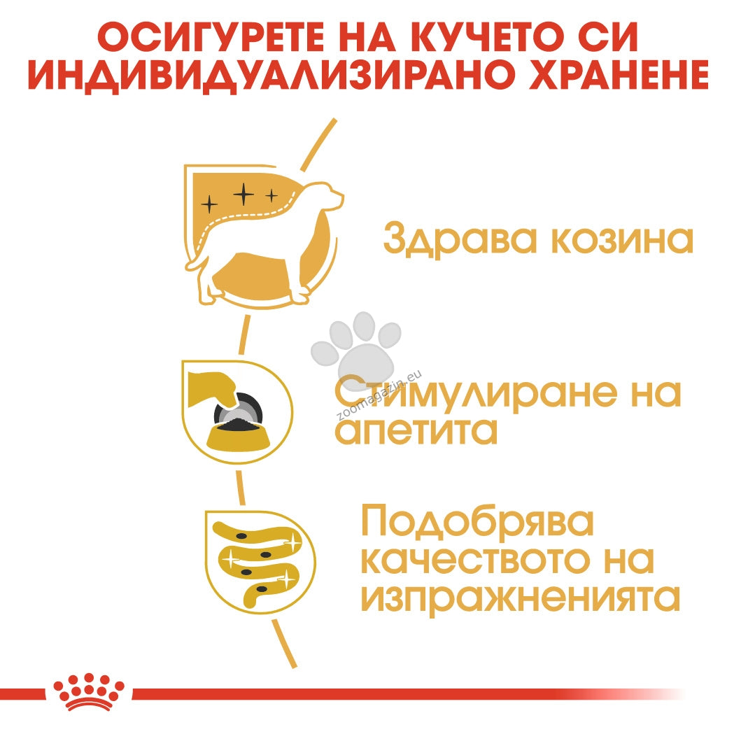 f596202b840f2ada86c0251ed4ea682c.jpeg