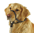 Kerbl Harness for Training and Education Maxi Coach - тренировъчен повод