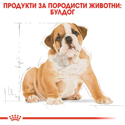 f9dbff91c60fd027df05a1e73420af73.jpeg