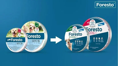 Foresto - противопаразитна каишка