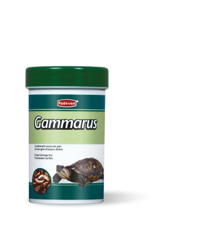 Padovan Gammarus - храна за костенурки