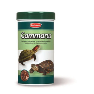 Padovan Gammarus - храна за костенурки