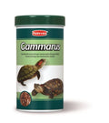 Padovan Gammarus - храна за костенурки