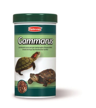 Padovan Gammarus - храна за костенурки