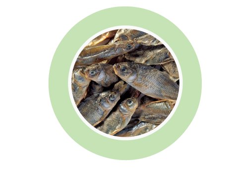 Padovan Fishes - храна за костенурки, сушени рибки 150 гр.
