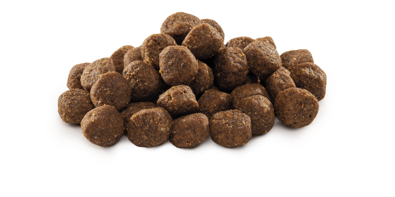Brit Premium by Nature Junior M - пълноценна храна за кученца от средни породи