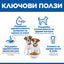 Hills Science Plan Small and Mini Puppy - пълноценна суха храна с пилешко месо, за дребни и миниатюрни породи кучета от отбиване до 1 година, за бременни и кърмещи кучета