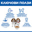 Hills Science Plan Puppy Medium - суха храна за кученца от средни породи с пилешко месо