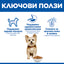 Hills Science Plan Small&Mini Adult - с агнешко, пълноценна суха храна за дребни и миниатюрни породи кучета в зряла възраст 1-6 години