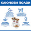 Hills Science Plan Small and Mini Puppy - суха храна за кученца от малки породи с агнешко месо 1.5 кг