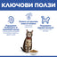Hills Science Plan Adult - с пилешко месо, за котки 1 до 6 години