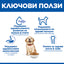 Hills Science Plan Canine Puppy Large Breed - с пилешко, за подрастващи кучета от едри и гиганстки породи, над 25кг, бременни и кърмещи кучета