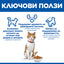 Hills Science Plan Sterilised Cat Young Adult Chicken - с пилешко месо, за млади кастрирани котки от 6 месеца до 6 години