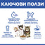 Hills Science Plan Kitten - с пилешко, за подрастващи котенца от отбиването до 1-годишна възраст, бременни или кърмещи котки