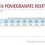 N&D Prime Neutered Adult - пълноценна храна с пилешко месо и нар, за кастрирани котки над 12 месеца 5 кг.