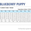 N&D Pumpkin Lamb & Blueberry Medium / Maxi Puppy - пълноценна храна с тиква за подрастващи кучета от средните и едри породи с агне и боровинки