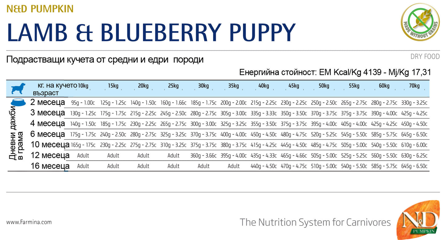 N&D Pumpkin Lamb & Blueberry Medium / Maxi Puppy - пълноценна храна с тиква за подрастващи кучета от средните и едри породи с агне и боровинки