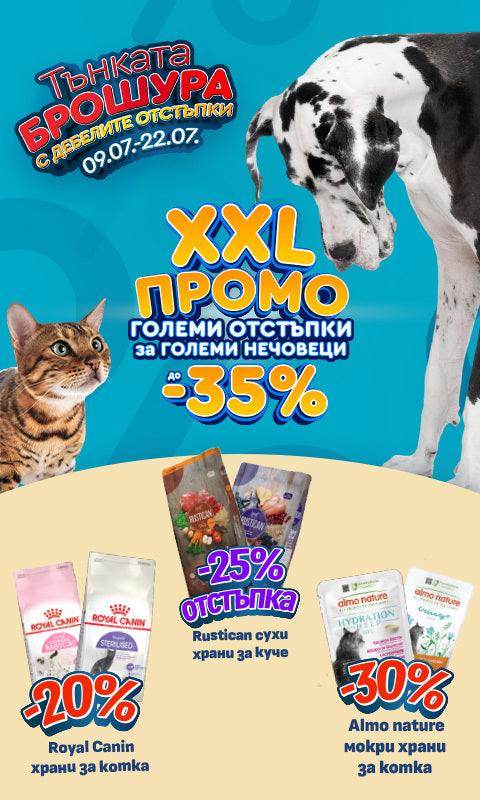 Promo banner