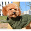 Nayeco Braid Knitted Sweater - пуловер за кучета 50 см.