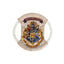 Cerda Dog Toy Frisbee Harry Potter - играчка за куче 22 / 22 / 1,5 см