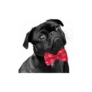 Nobby XMAS Bow Tie flashing - коледна папийонка 10 / 6 см