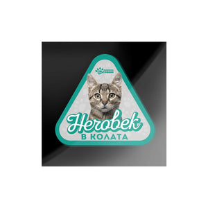 Котка - стикер за кола