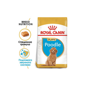 Royal Canin Poodle Puppy - пълноценна храна за подрастващи кучета порода пудел до 10 месеца 3 кг