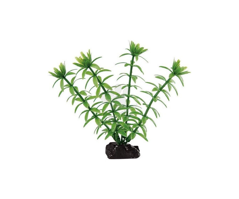 Ferplast - пластмасово растение